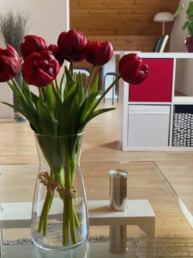 Appartement Altstadt-apartments - Ihr Zuhause Auf Reisen Bad Radkersburg